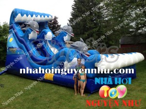 nha hoi nha phao truot nuoc N-117